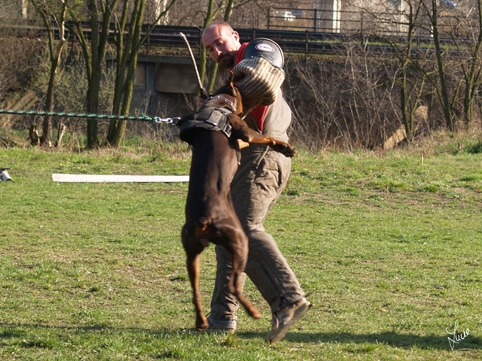 Chocolade Lehmannsfelsen - training 26. 3. 2007